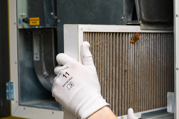 Best Home Air Vent Cleaning  in Loveland, CO