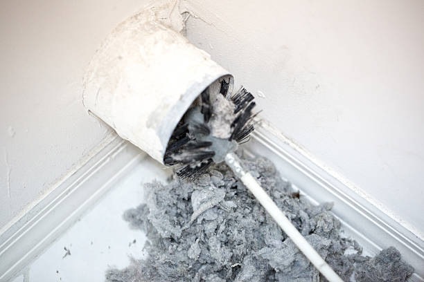 Best Affordable Air Duct Cleaning  in Loveland, CO
